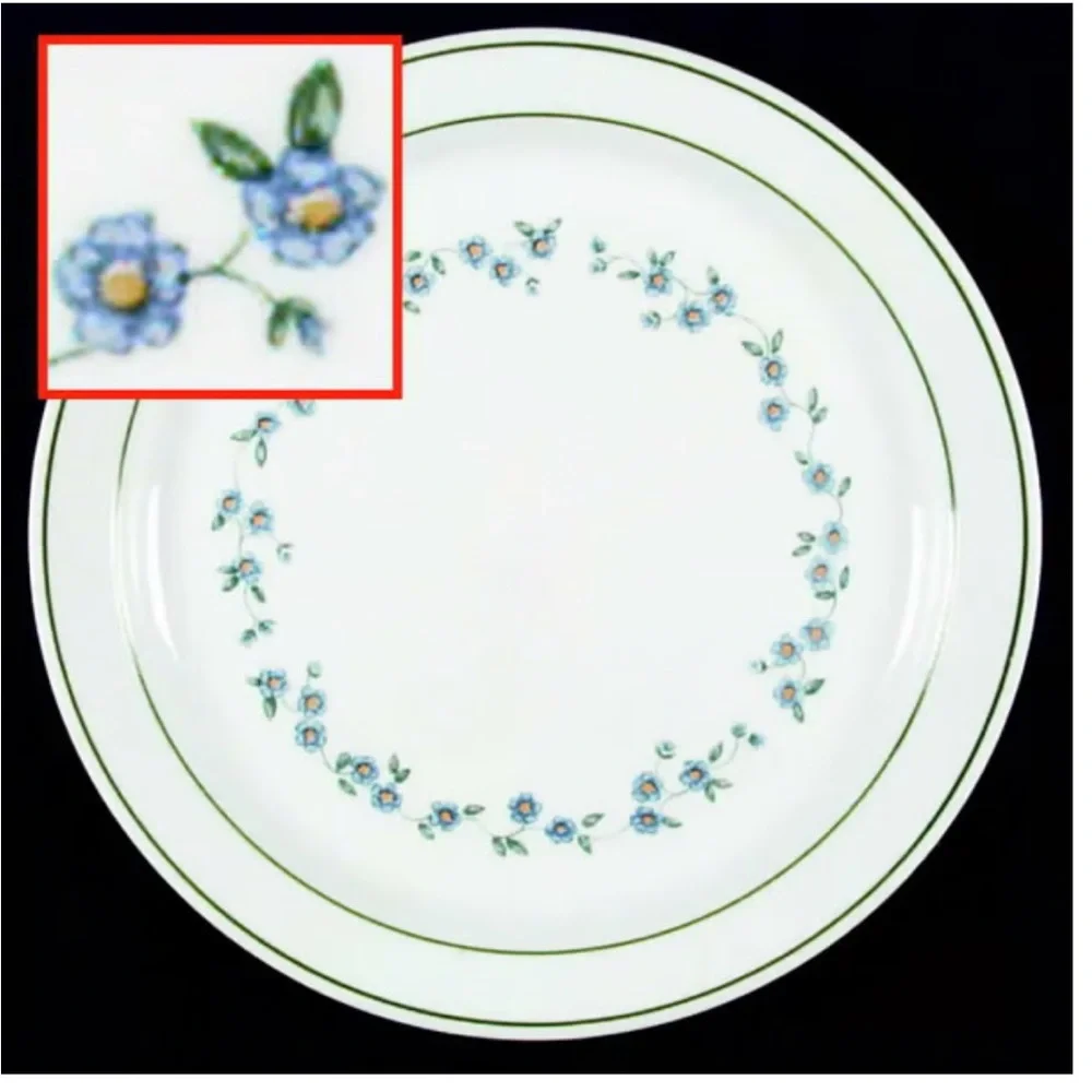 8 | Forget Me Not (Rim, Corelle) by CORNING CORELLE ~ 10 1/4” Dinner plates
